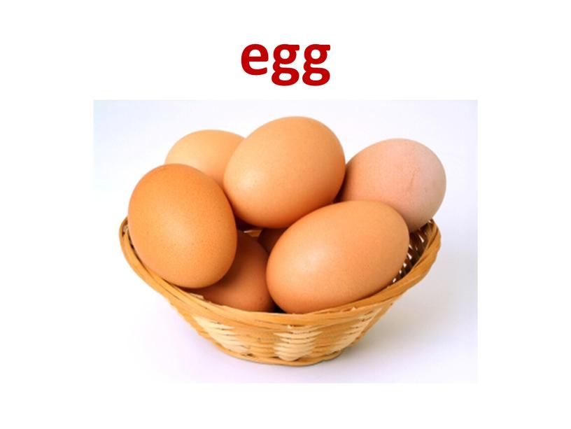 egg