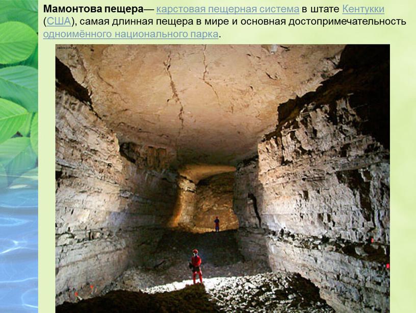 Мамонтова пещера — карстовая пещерная система в штате