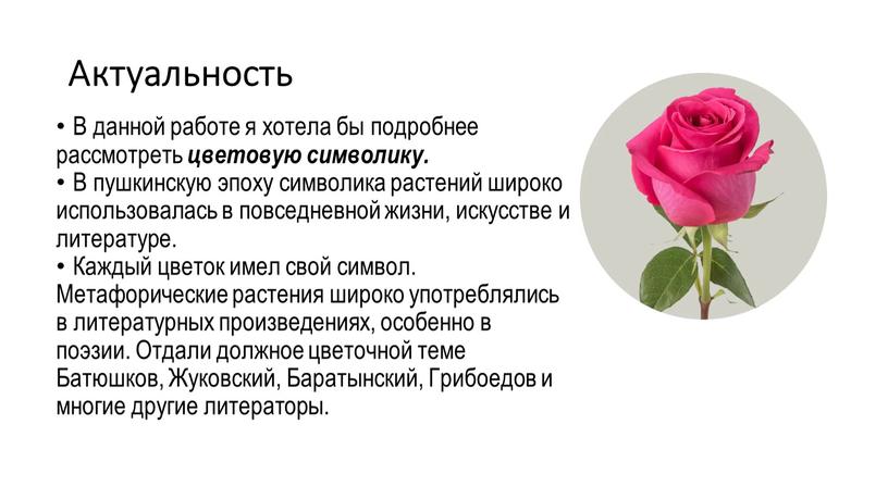 Актуальность В данной работе я хотела бы подробнее рассмотреть цветовую символику