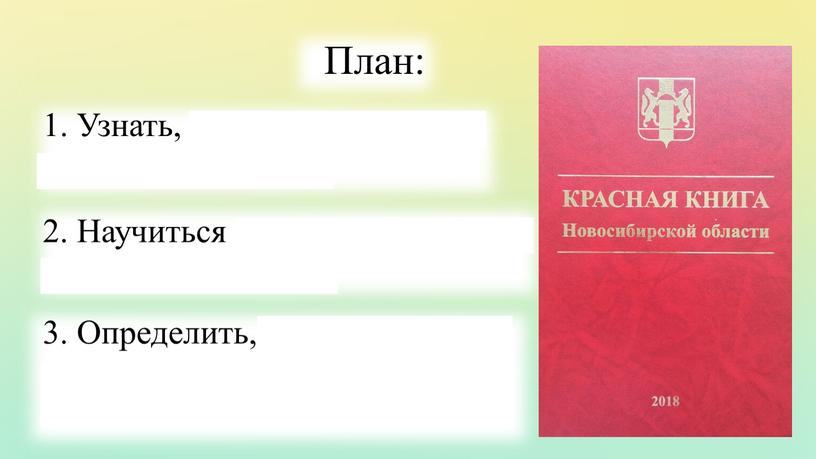 План: 1. Узнать, кто такие звери и их признаки; 2