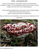 Обложка для материала Гриб - «кровавый зуб».