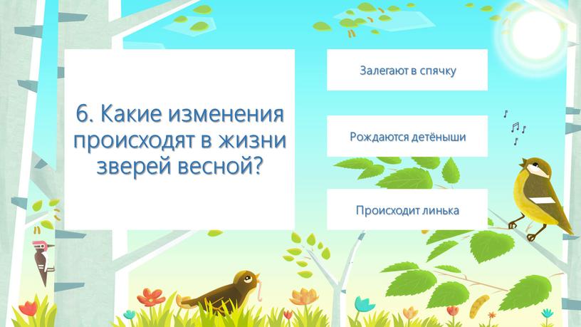 Какие изменения происходят в жизни зверей весной?