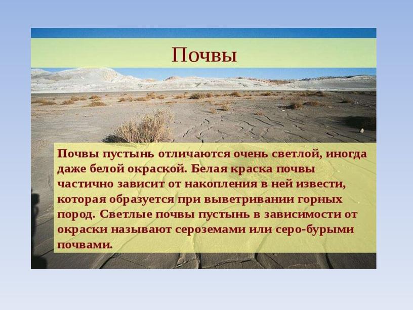 Полупустыни температура летом и зимой. Полупустыни и пустыни почвы. Почвы в пустынях и полупустынях России. Зона пустынь и полупустынь почва. Пустыни и полупустыни Тип почвы.