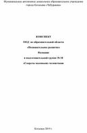 КОНСПЕКТ ООД  по образовательной области  «Познавательное развитие» Познание в подготовительной группе «Секреты маленьких человечков»