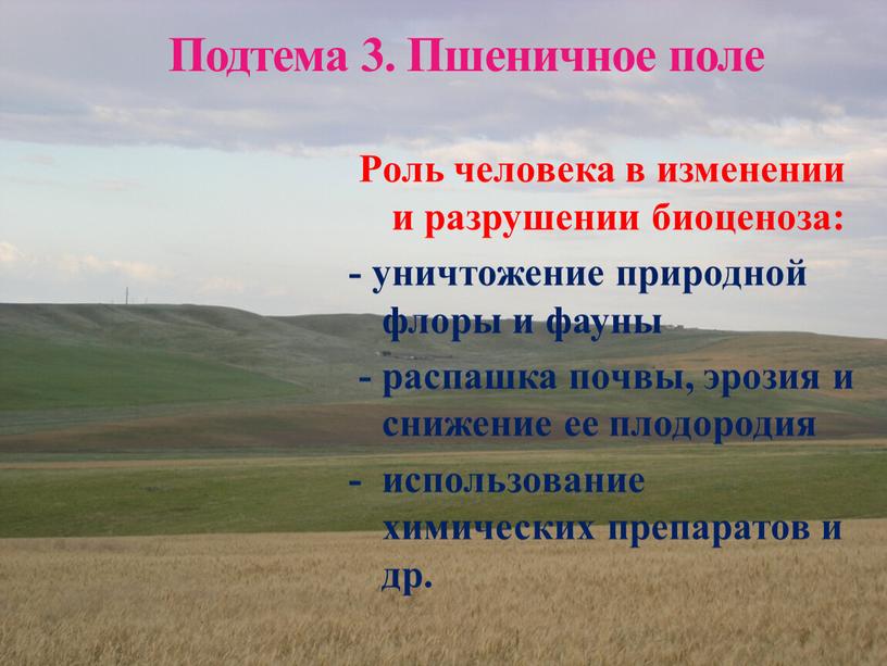 Подтема 3. Пшеничное поле Роль человека в изменении и разрушении биоценоза: - уничтожение природной флоры и фауны - распашка почвы, эрозия и снижение ее плодородия…