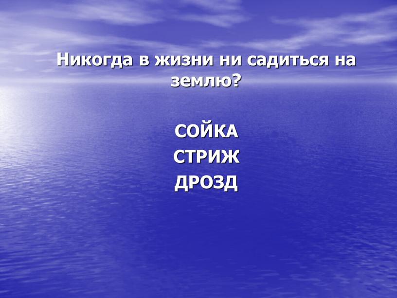 Никогда в жизни ни садиться на землю?