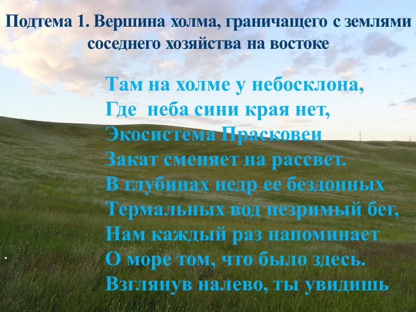 Подтема 1. Вершина холма, граничащего с землями соседнего хозяйства на востоке