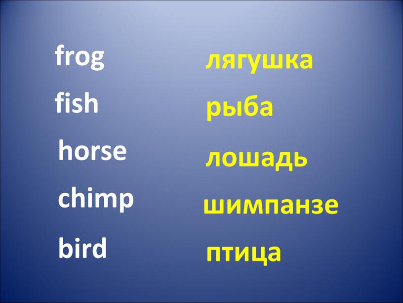 frog fish horse chimp лягушка рыба лошадь шимпанзе bird птица