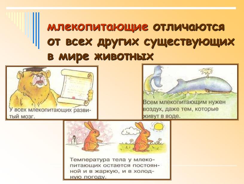 млекопитающие отличаются от всех других существующих в мире животных