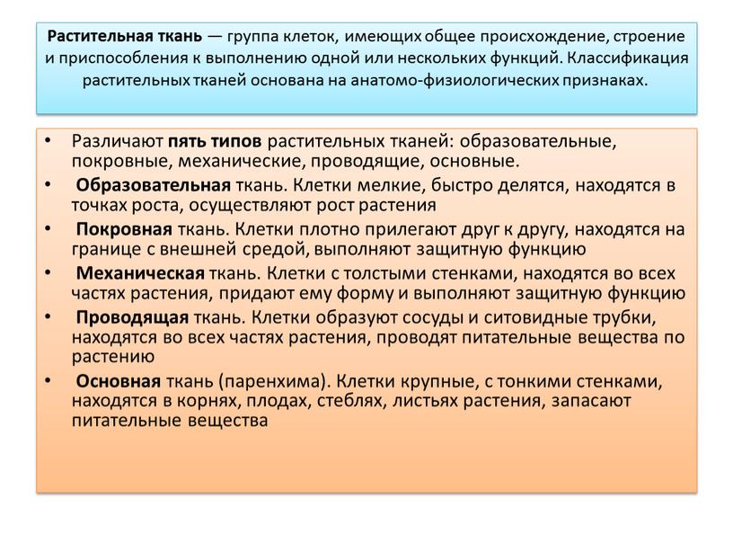 Растительная ткань — группа клеток, имеющих общее происхождение, строение и приспособления к выполнению одной или нескольких функций