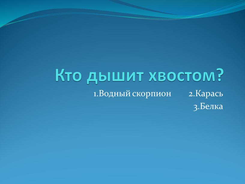 Кто дышит хвостом? 1.Водный скорпион 2