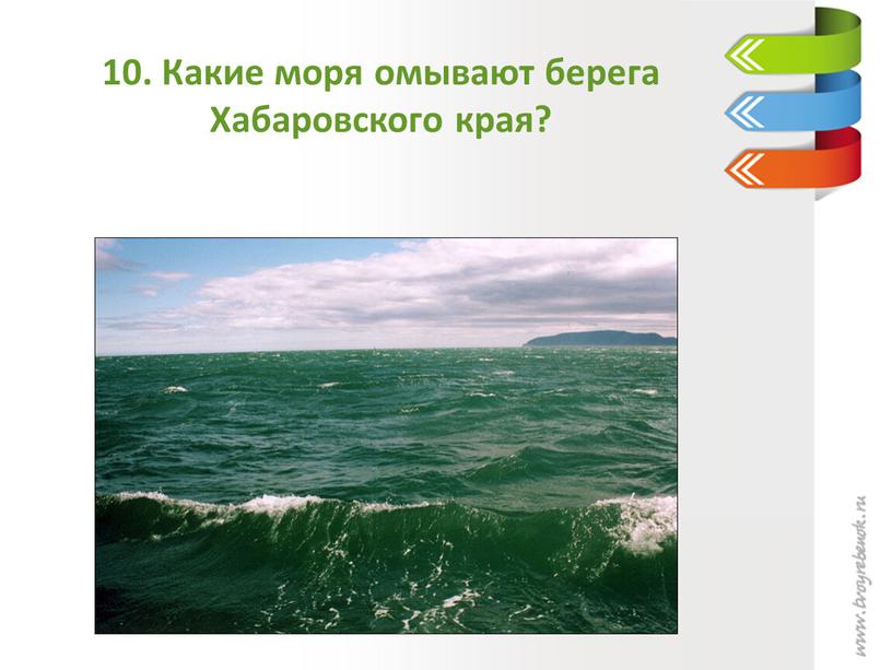 Какие моря омывают берега Хабаровского края?
