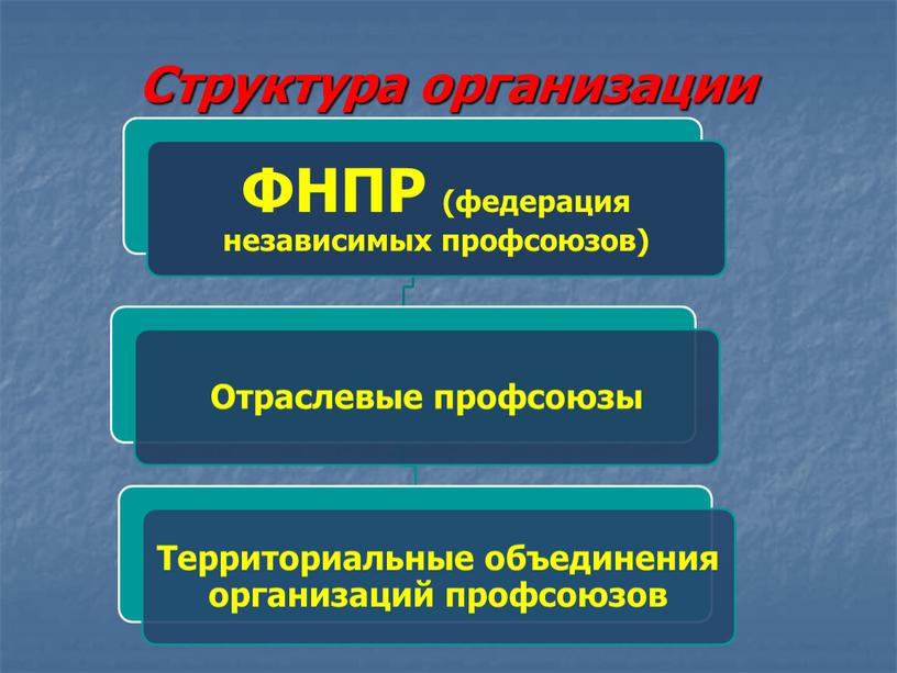 Структура организации