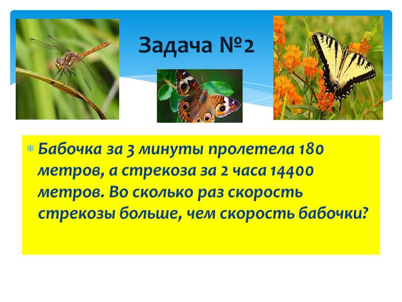 Задача №2 Бабочка за 3 минуты пролетела 180 метров, а стрекоза за 2 часа 14400 метров