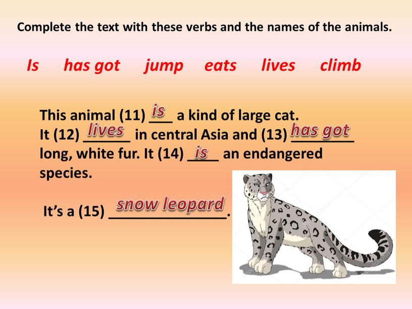 This animal (11) ___ a kind of large cat