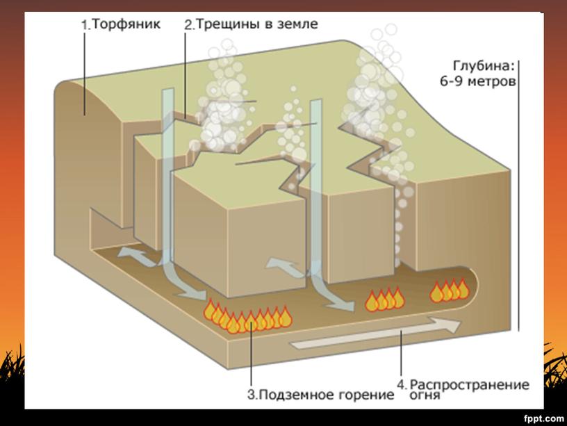 Природные пожары