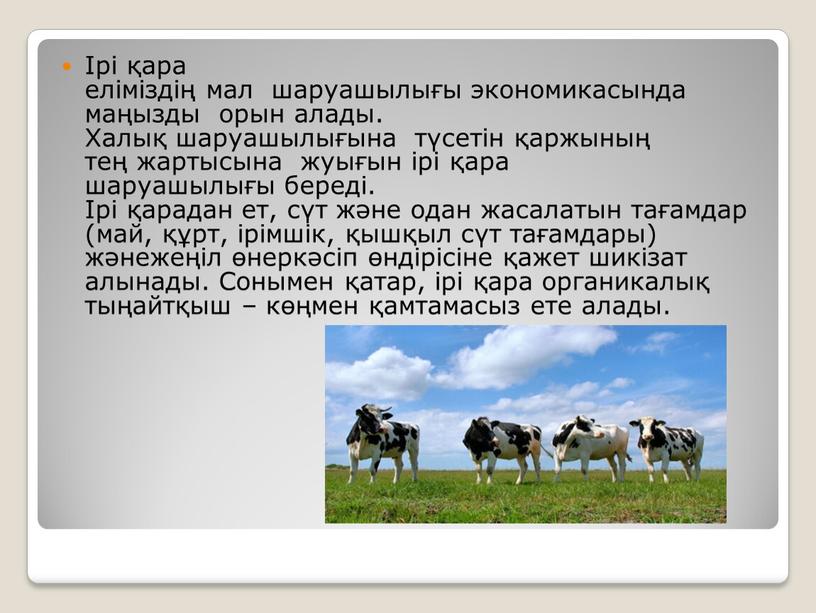 Халық шаруашылығына түсетін қаржының тең жартысына жуығын ірі қара шаруашылығы береді