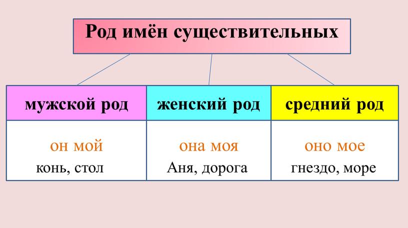 Аня, дорога гнездо, море Род имён существительных