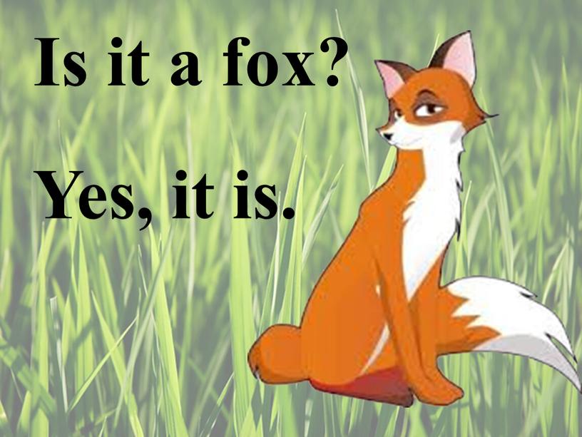 Is it a fox? Yes, it is.