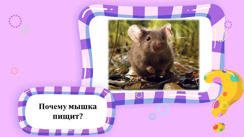 Почему мышка пищит?