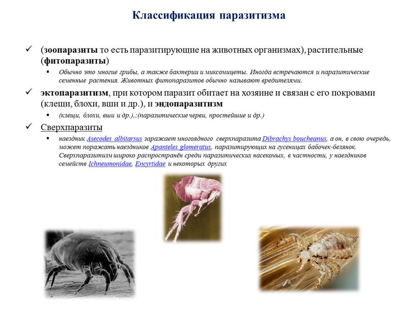 Классификация паразитизма ( зоопаразиты то есть паразитирующие на животных организмах), растительные ( фитопаразиты )