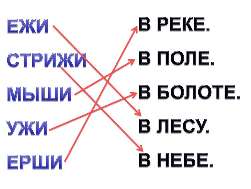 ЕЖИ СТРИЖИ МЫШИ УЖИ ЕРШИ В РЕКЕ