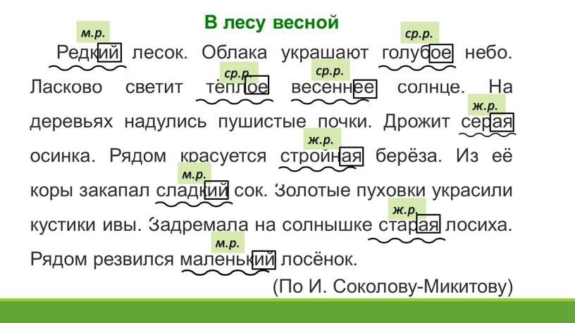 В лесу весной Редкий лесок. Облака украшают голубое небо