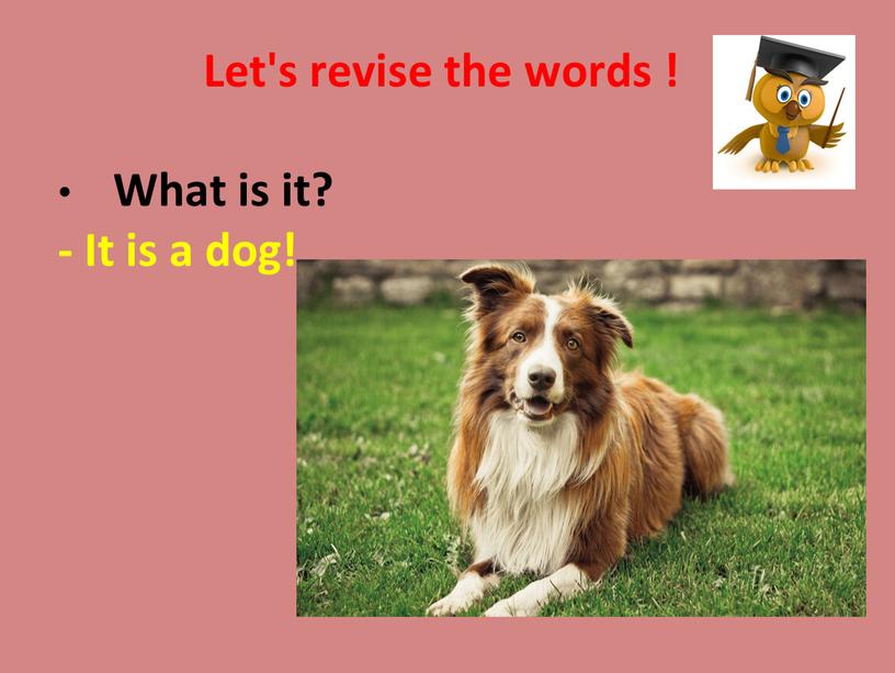 Let's revise the words ! What is it? -