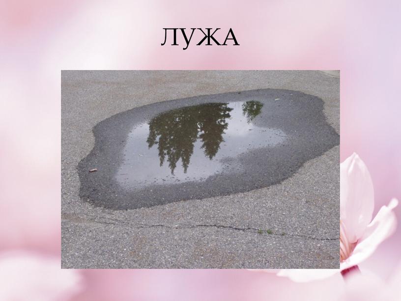 ЛУЖА