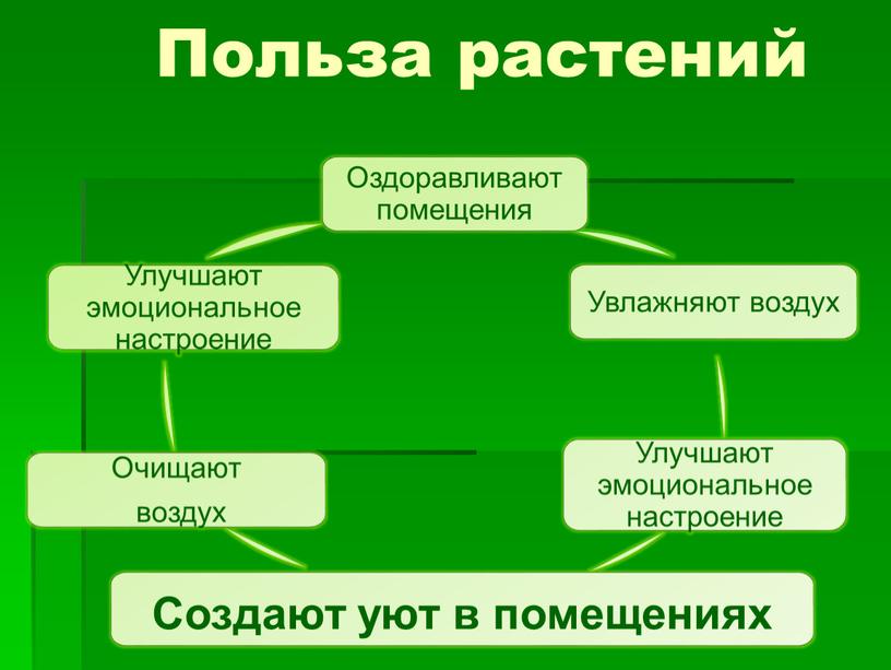 Польза растений