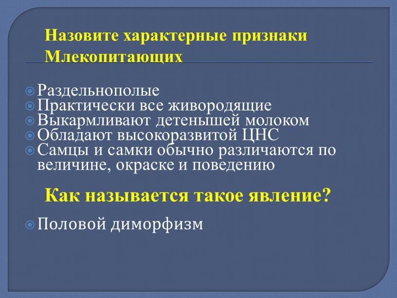 Раздельнополые Практически все живородящие