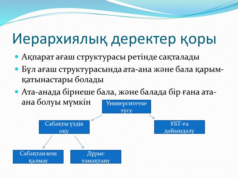 Иерархиялық деректер қоры Ақпарат ағаш структурасы ретінде сақталады