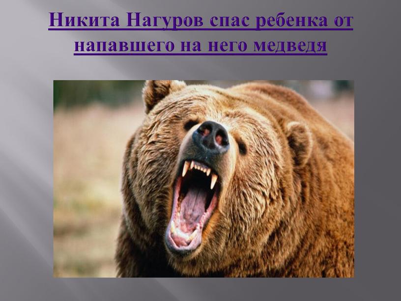 Никита Нагуров спас ребенка от напавшего на него медведя