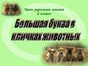 Большая буква в кличках животных