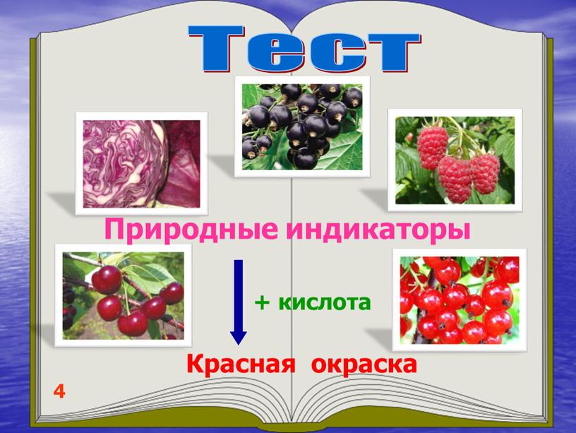 Тест 4 Природные индикаторы Красная окраска + кислота