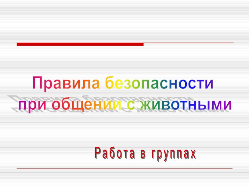 Правила безопасности при общении с животными