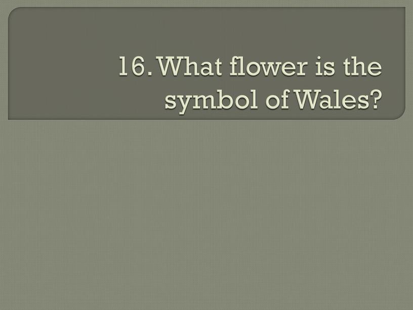 What flower is the symbol of Wales?