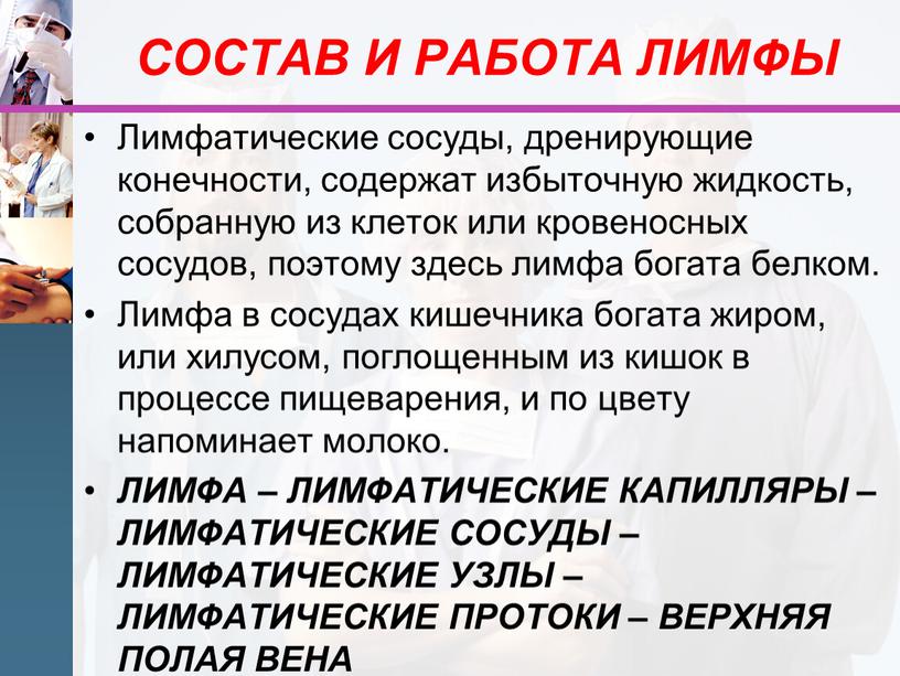 СОСТАВ И РАБОТА ЛИМФЫ Лимфатические сосуды, дренирующие конечности, содержат избыточную жидкость, собранную из клеток или кровеносных сосудов, поэтому здесь лимфа богата белком