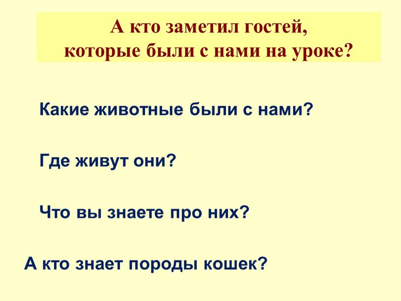 А кто заметил гостей, которые были с нами на уроке?