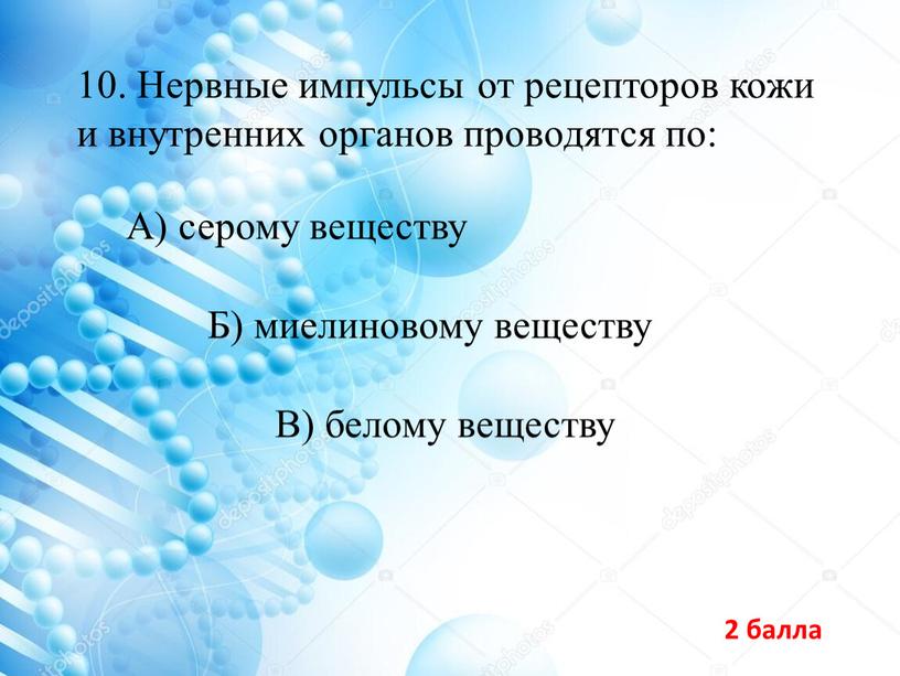 Нервные импульсы от рецепторов кожи и внутренних органов проводятся по: