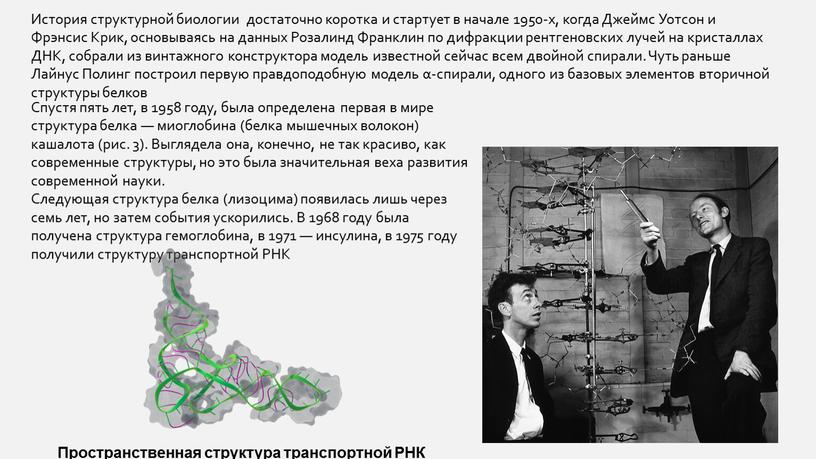 История структурной биологии достаточно коротка и стартует в начале 1950-х, когда