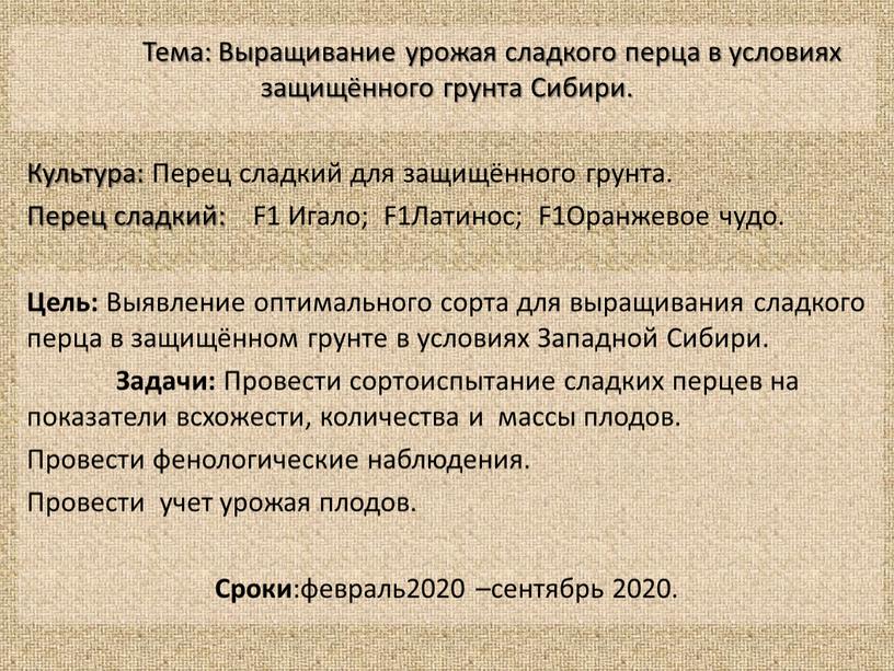 Тема: Выращивание урожая сладкого перца в условиях защищённого грунта