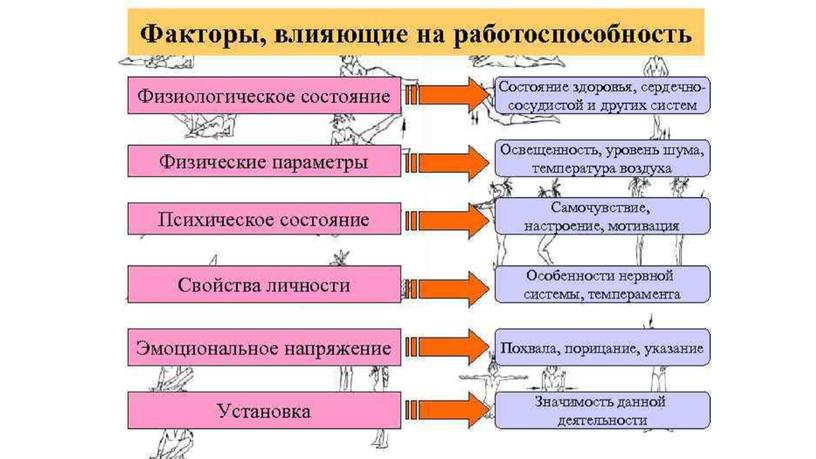 Работоспособность. Режим дня