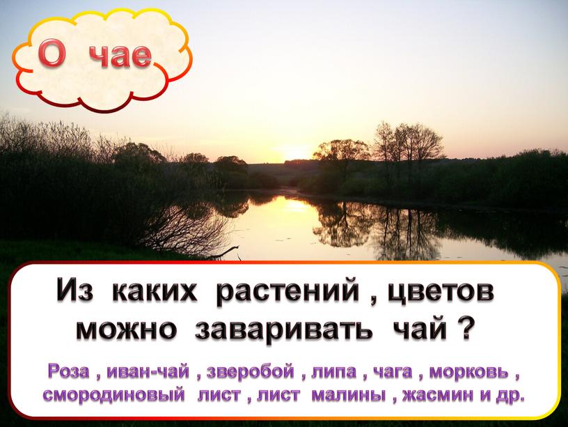 О чае Из каких растений , цветов можно заваривать чай ?