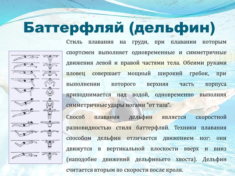 Баттерфляй (дельфин) Стиль плавания на груди, при плавании которым спортсмен выполняет одновременные и симметричные движения левой и правой частями тела