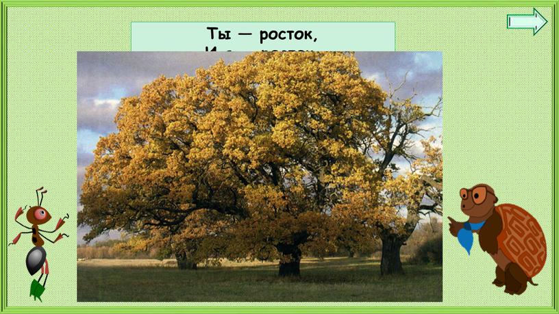 Ты — росток, И я — росток. Раз — листок,