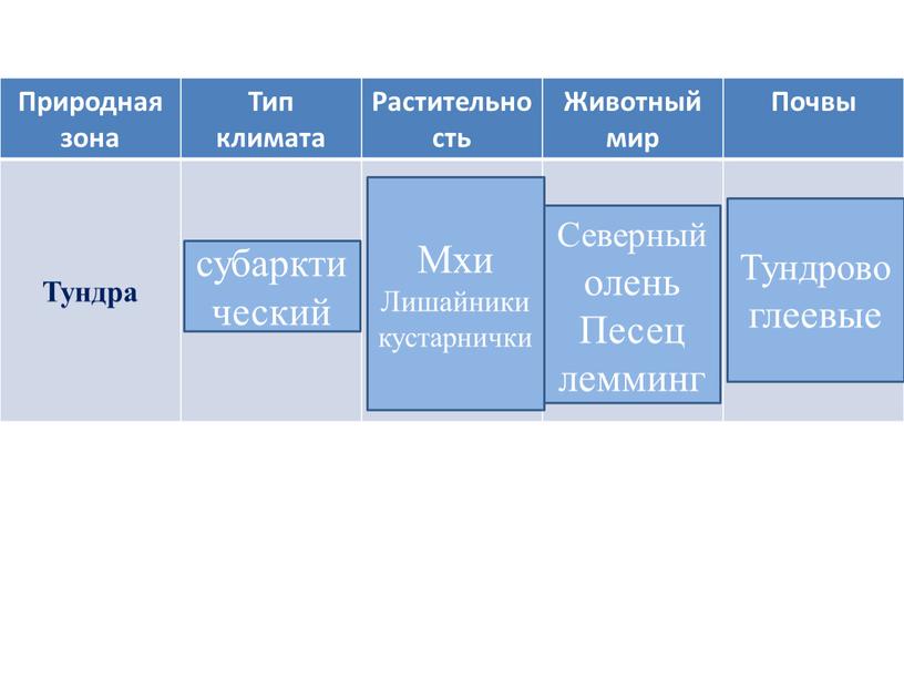 Природная зона Тип климата Растительность