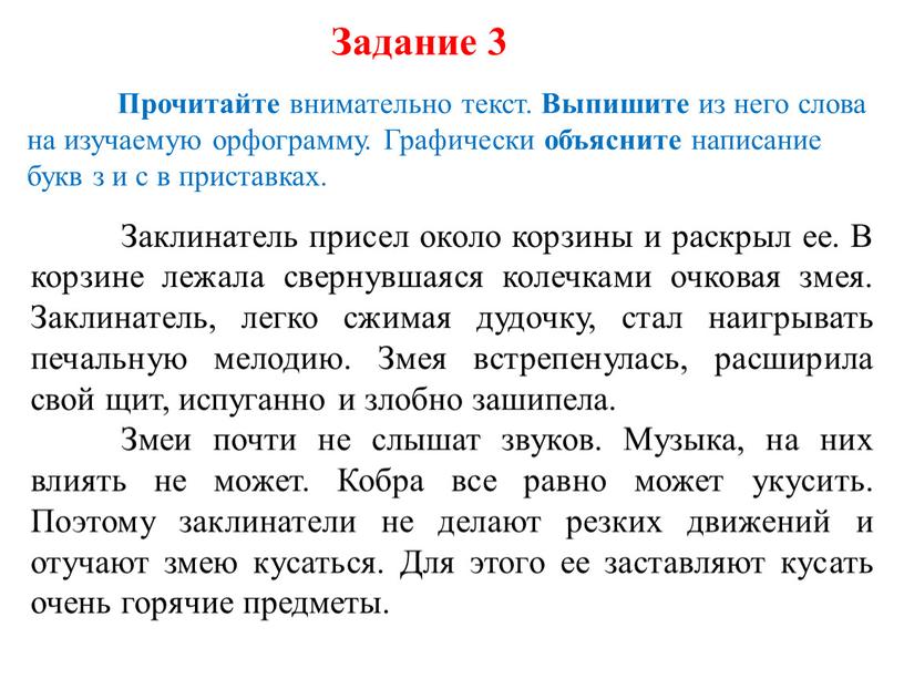 Заклинатель присел около корзины и раскрыл ее