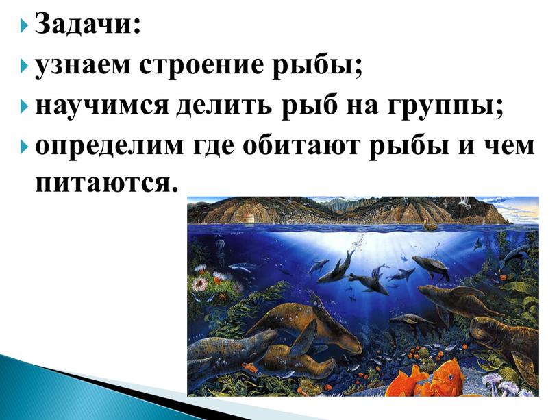 Задачи: узнаем строение рыбы; научимся делить рыб на группы; определим где обитают рыбы и чем питаются