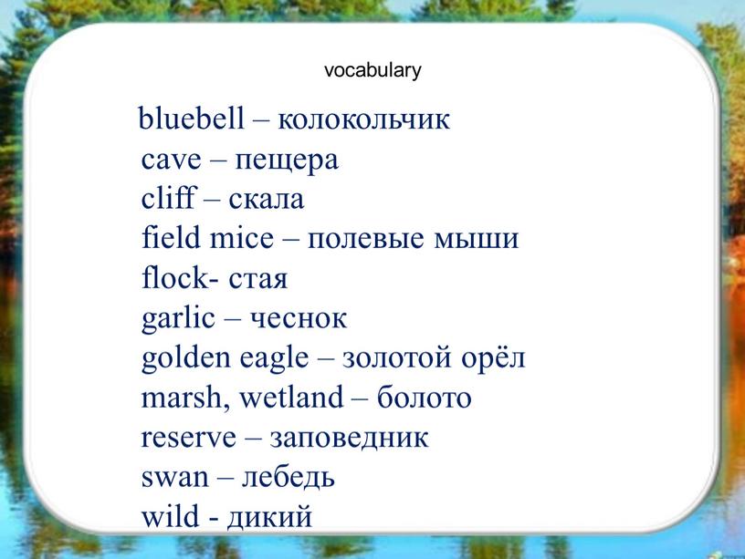 vocabulary bluebell – колокольчик cave – пещера cliff – скала field mice – полевые мыши flock- стая garlic – чеснок golden eagle – золотой орёл…